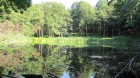 Lacul Tarnita - Muntii Berzunti Lac lac Tarnita